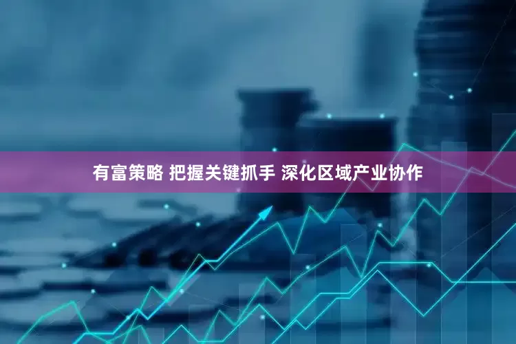 有富策略 把握关键抓手 深化区域产业协作
